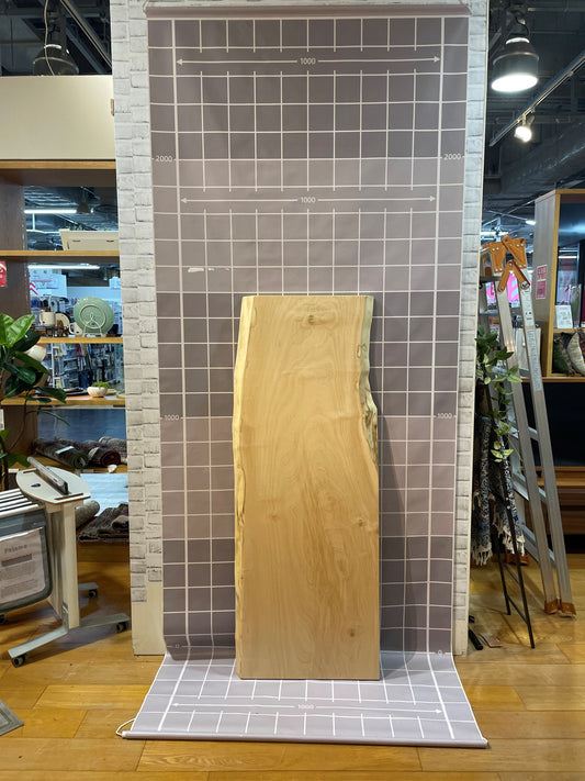 トチ一枚板［みなとみらい東急スクエア店／1500-520］