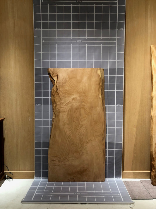 トチ一枚板［日本橋高島屋S.C.店／1505-730］