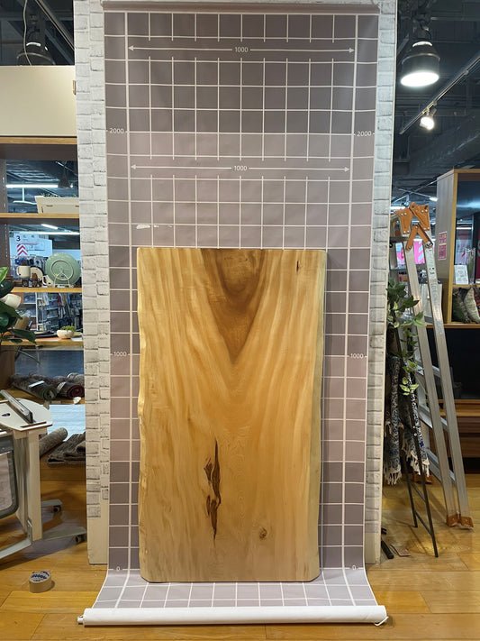 トチ一枚板［みなとみらい東急スクエア店／1505-730］